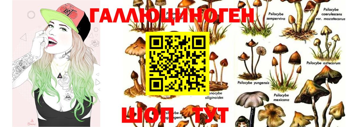 Псилоцибиновые грибы Psilocybe  Галлюциногенные грибы Psilocybine cubensis  Вход с VPN  Семёнов 