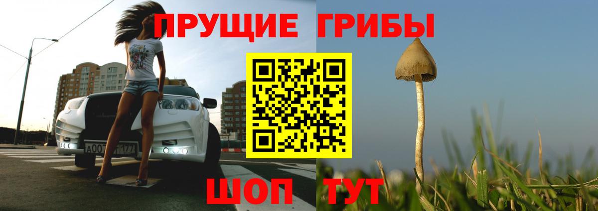 Галлюциногенные грибы ЛСД Семёнов